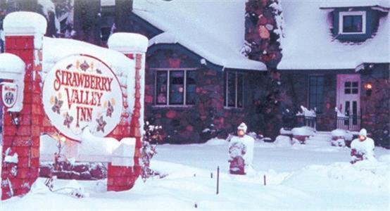Strawberry Valley Inn Маунт-Шаста Экстерьер фото